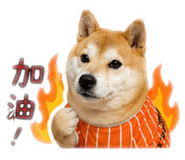 839342041