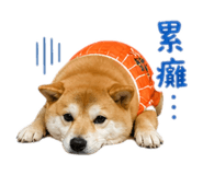 839342042