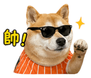 839342048