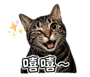 839342255