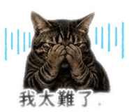 839342260