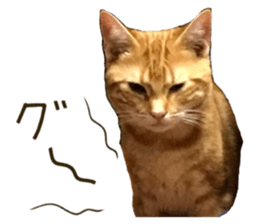 83934237