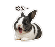 839342443