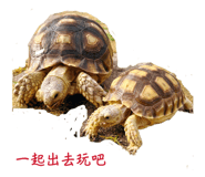 839342586