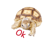 839342592