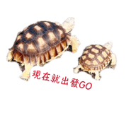 839342597