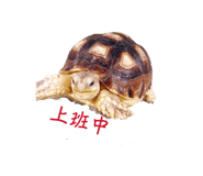 839342598