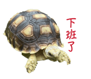 839342599
