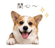 839343122
