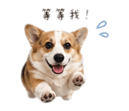 839343133