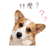 839343138