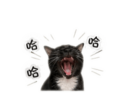 839343145