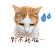 839343169