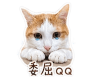 839343177