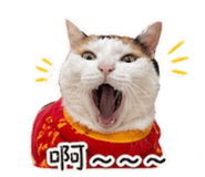 839343420