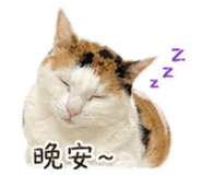 839343427