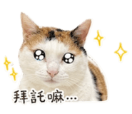 839343432