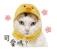 839343436