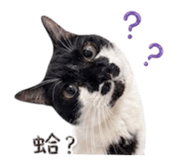 839343512
