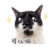 839343527