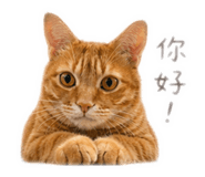839343530