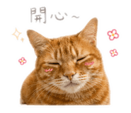 839343535