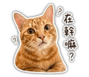 839343546