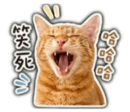839343553