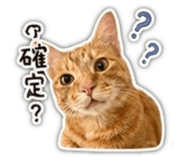 839343555