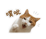 839343600