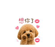 839343668