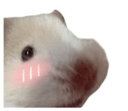 839343687