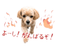 839346006