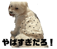 839346555