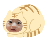 839346947
