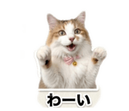 839347065