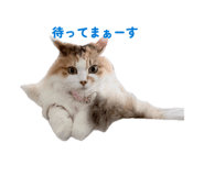 839347072