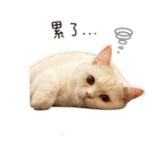 839351955