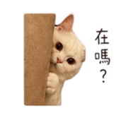 839351959