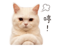839351961