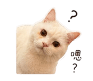 839351963