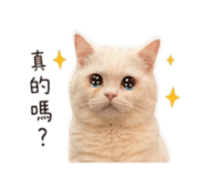 839351964