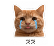 839352044