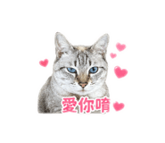 839352110