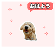 839353121