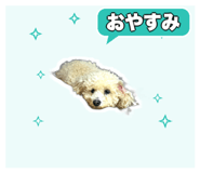 839353124