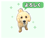 839353125