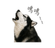 839353215