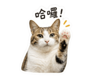 839353418