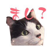 839353528